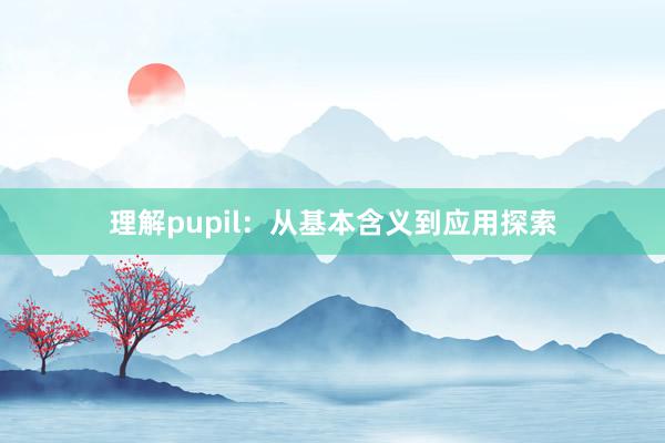 理解pupil：从基本含义到应用探索